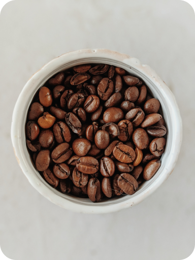 coffee bean